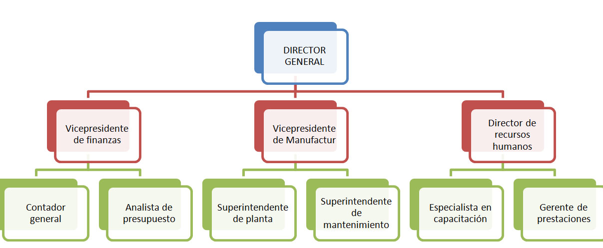 Estructura organizacional