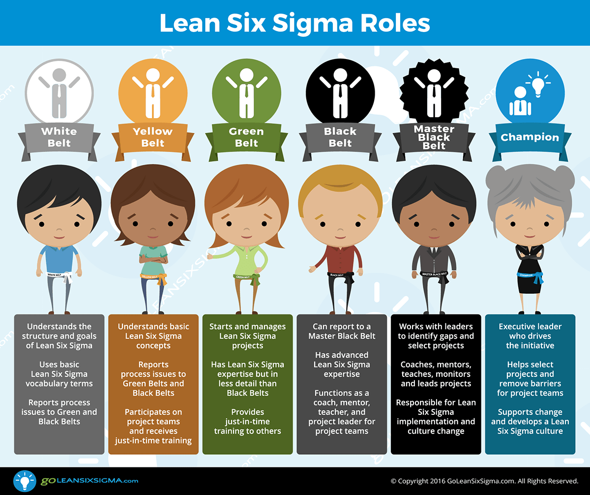 project management lean six sigma case study